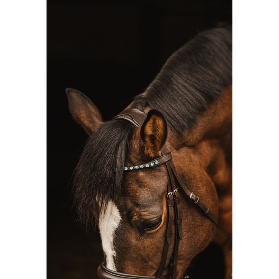 Uzdečka Cassini Stone s otěžemi švéd. nán.