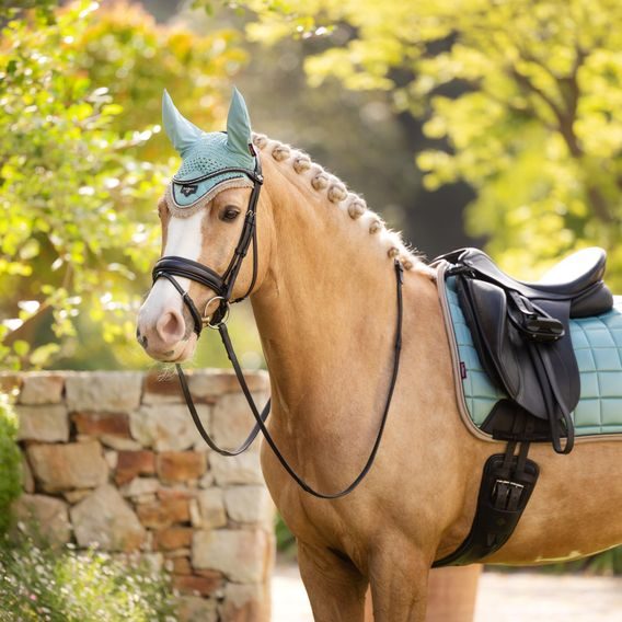 Čabraka na uši LeMieux Loire Aqua Kolekce 2025