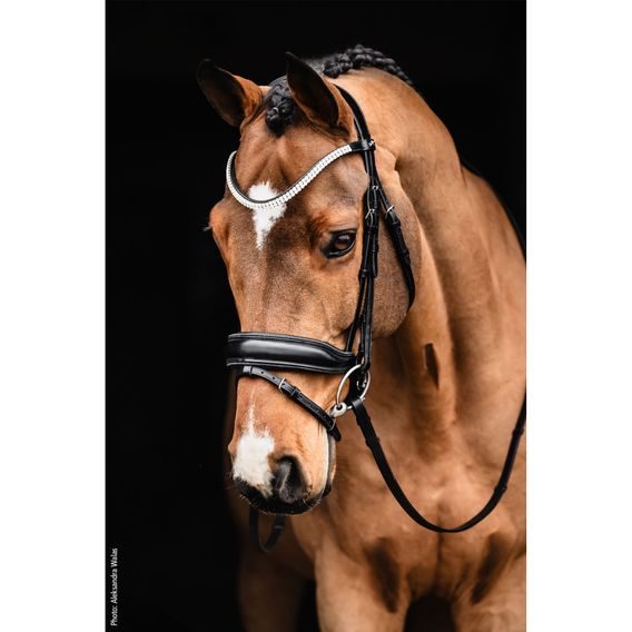 Uzdečka Schockemöhle SP Valencia švédský nánosník