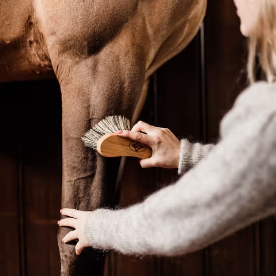 Kartáč Kentucky middle hard