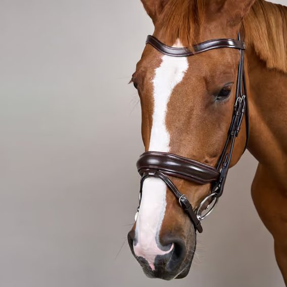 Uzdečka Dy'on Matte Large Crank Noseband Bridle With Flash WODCAM