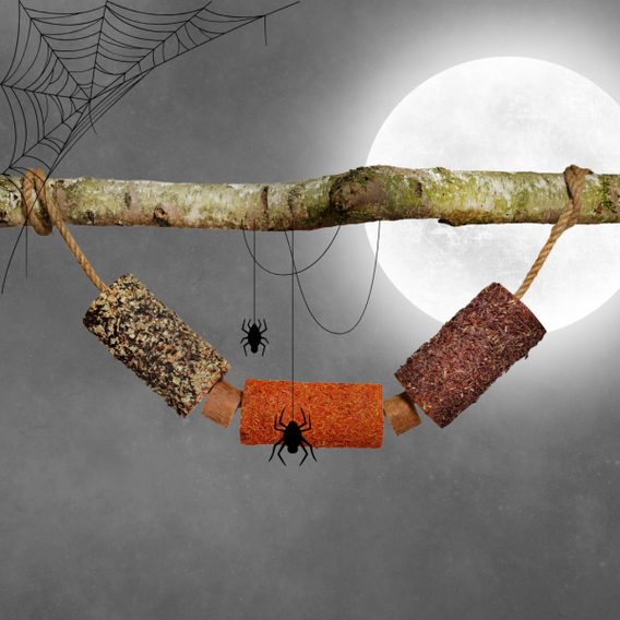 Kousací dřevěná hračka pro koně Candy Horse Haloween "Spooky Control"