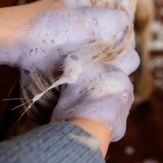 Šampon Grooming Deluxe Purple Almond