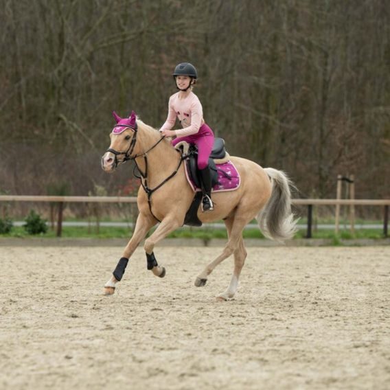 Čabraka na uši HKM Polly