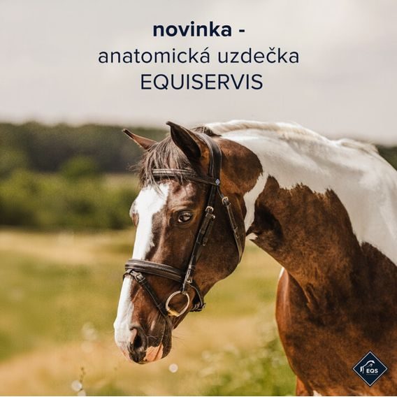 Uzdečka Equiservis Anatomická anglický nánosník