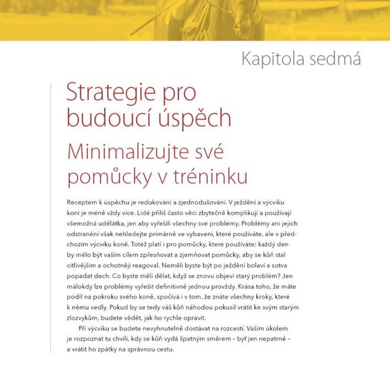 Publ Payne Jak napravit svého koně