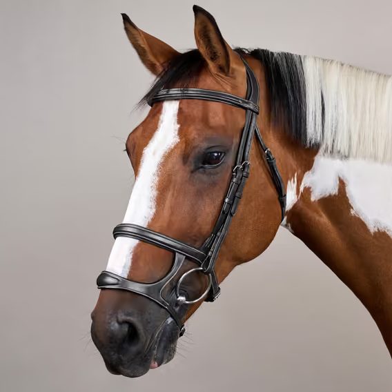 Uzdečka Dy'on Double Noseband USAAAH