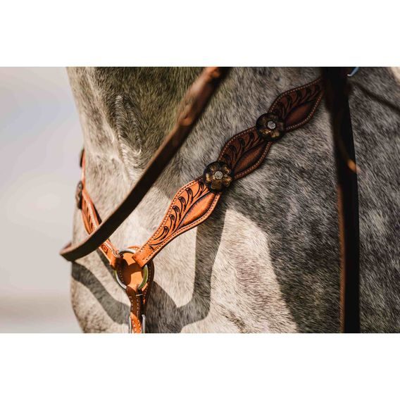 *W* Uzdečka přes jedno ucho a poprsník Cassini Annie