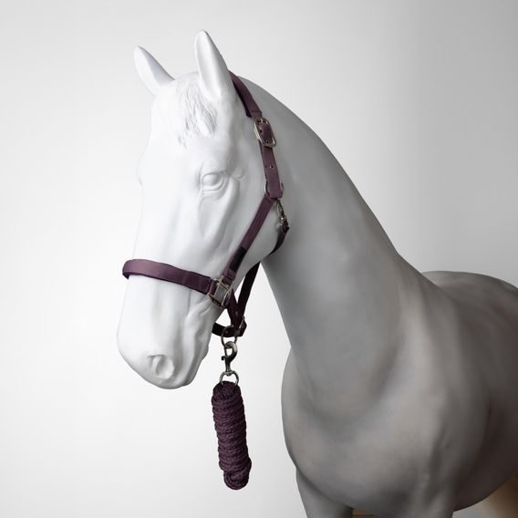 Ohlávka s vodítkem Horze Lucca