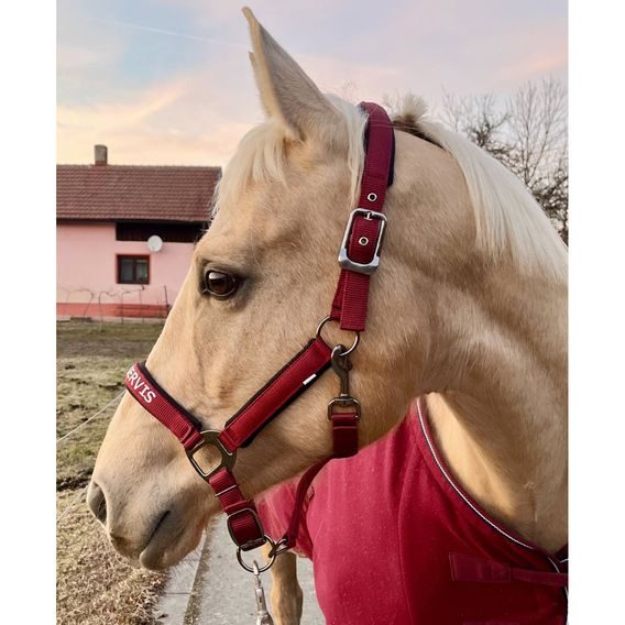 Ohlávka QHP&EQS Deluxe