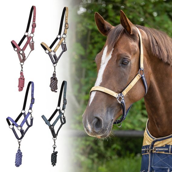 Ohlávka s vodítkem QHP Kolekce 2025