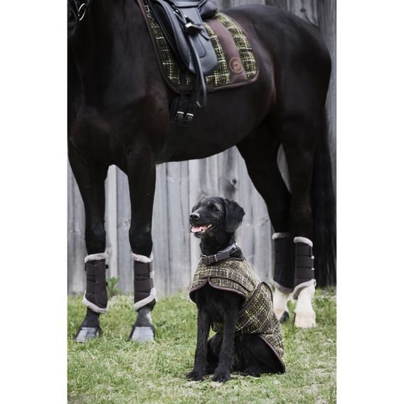 Kamaše Eskadron Platinum Mesh Fauxfur Kolekce 2024/25