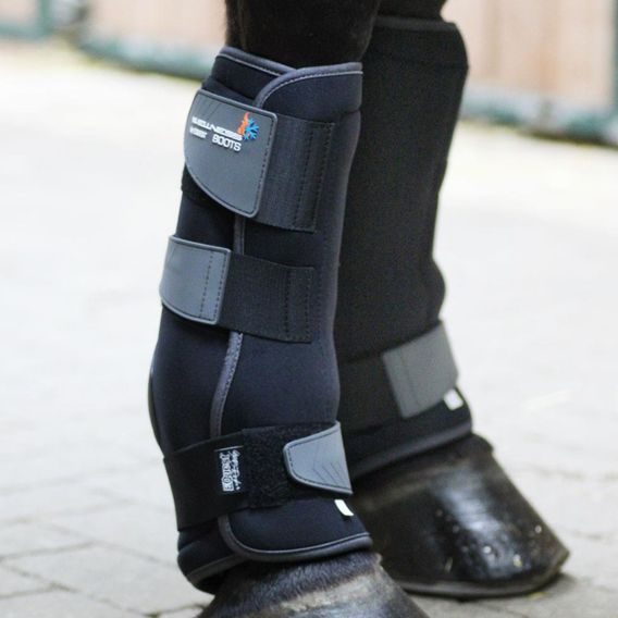 Kamaše Equest Wellness pár DOPRODEJ