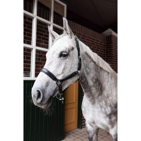 Ohlávka Horze Delémont Leather Kolekce 2024/25