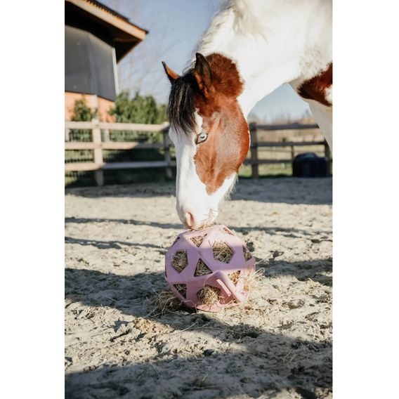 Míč na hraní/krmení Kentucky Relax Horse