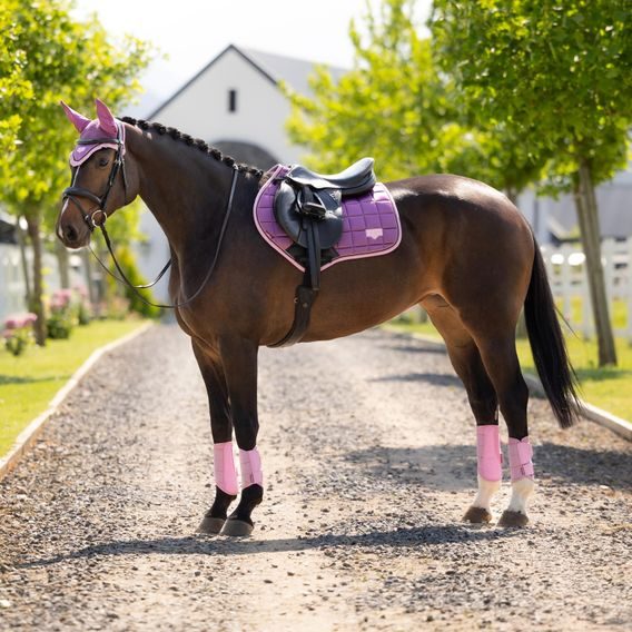 Podsedlová dečka LeMieux Loire Classic Square Kolekce 2026