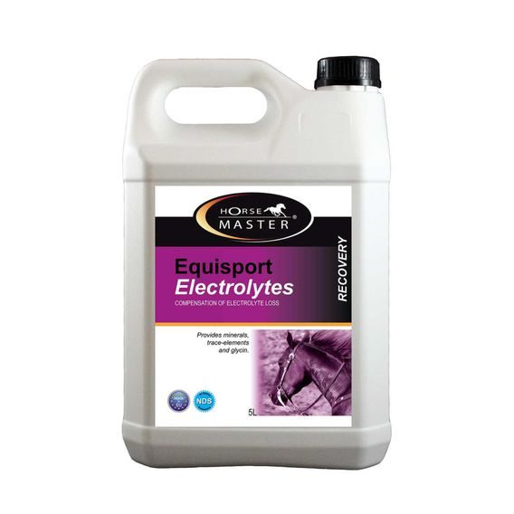 Horse MASTER Equisport Electrolytes 5l