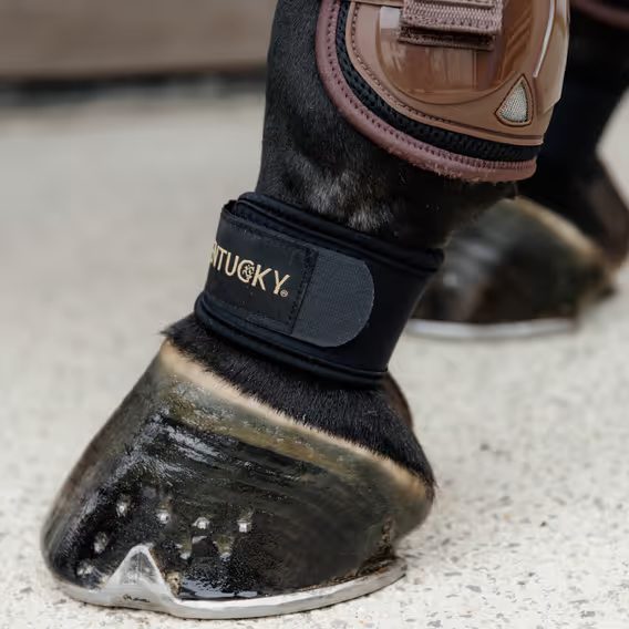 Pásek spěnkový Kentucky 42201 pár