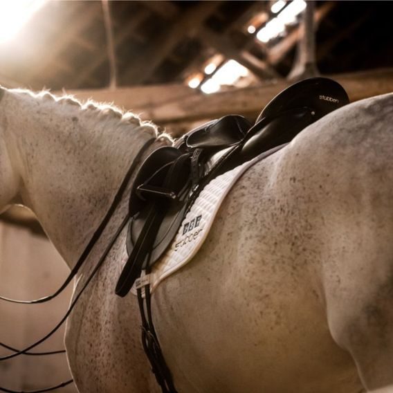 Sedlo drezurní Stübben Centurion II AKCE-50% OUTLET