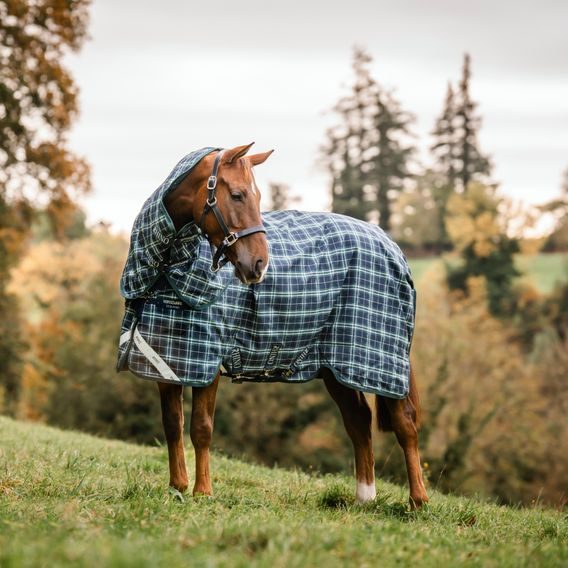 Krční díl k dece Horseware Rhino 0g