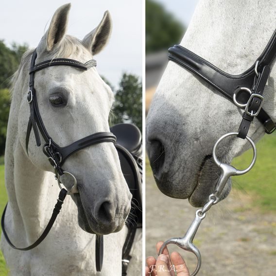 Bezudidlová uzdečka F.R.A. Runa DOPRODEJ