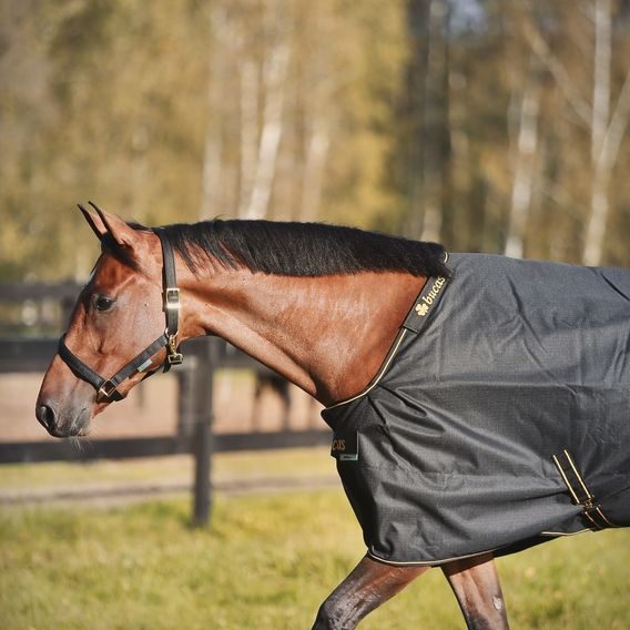 Deka výběhová Bucas Irish Turnout 100g Kolekce 2025/26