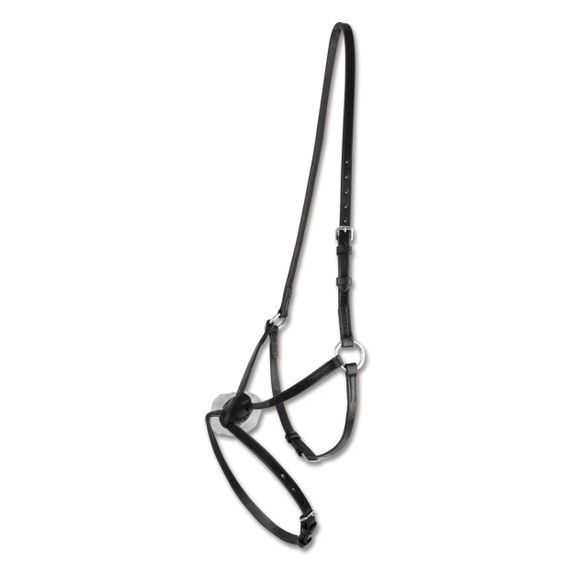 Nánosník Waldhausen mexický