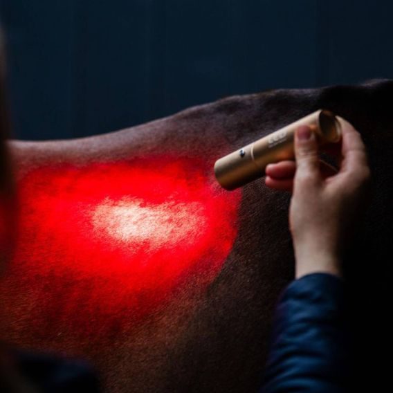 Svítilna set Horseware® LED Red Light Therapy Wand