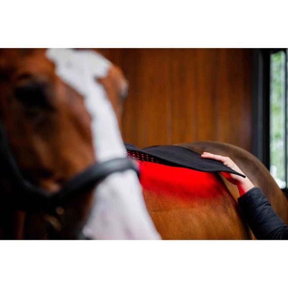 Deka Horseware® LED Red Light Therapy Pad
