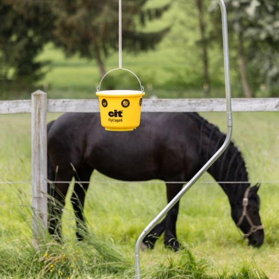 Lapač hmyzu včetně návnady Kerbl Cit Flycage 6