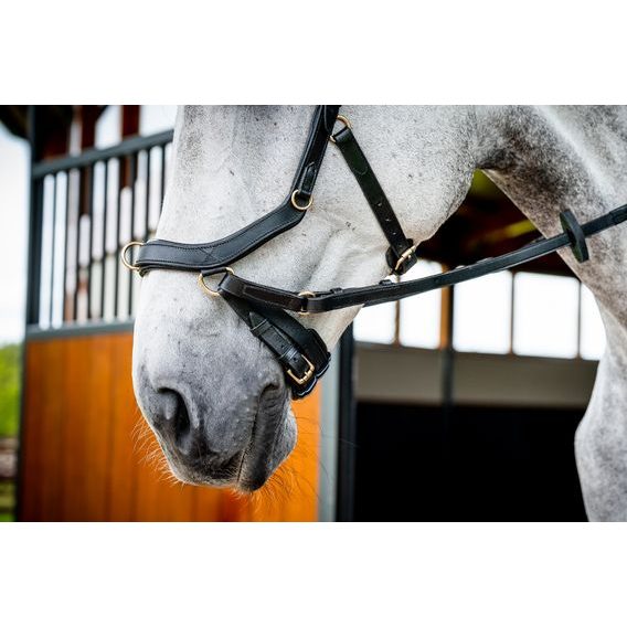 Uzdečka Horseware Micklem 2 Multi DOPRODEJ