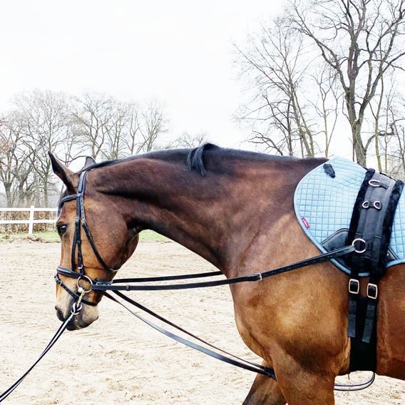 Trojúhelníkové vyvazovací otěže Equiservis kožené