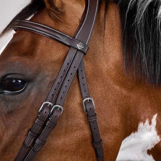 Uzdečka Dy'on Flash Noseband Bridle with Snap Cheekpieces WOAPGB