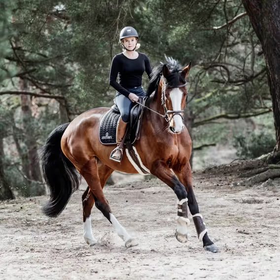 Beránkový potah na podbřišník Kentucky k podbřišníku 42406 NA OBJEDNÁVKU