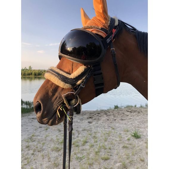 Ochrana očí Equick eVysor