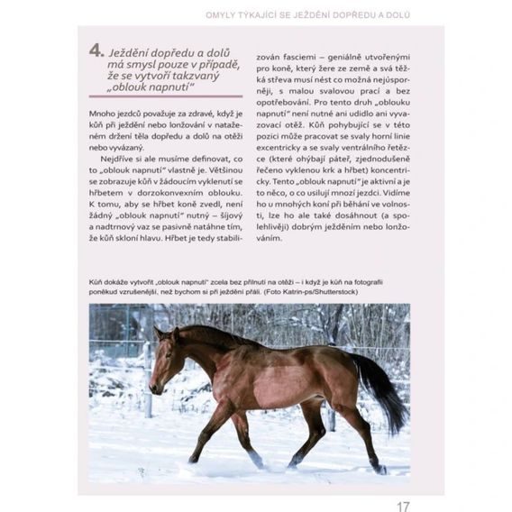 Publ Welter-Böller, Welter, Weigand 50 nejčastějších omylů při výcviku koní