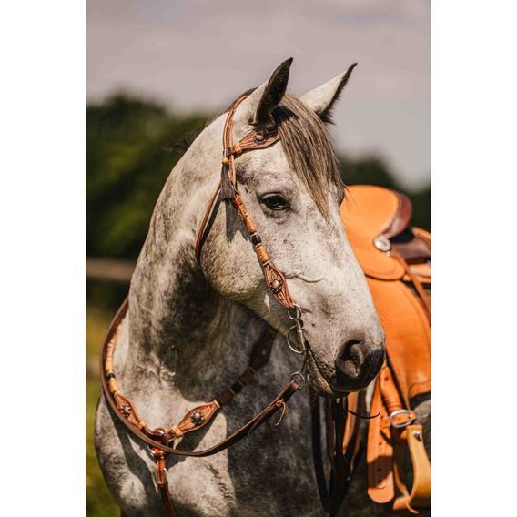 *W* Uzdečka a poprsník Cassini Copper