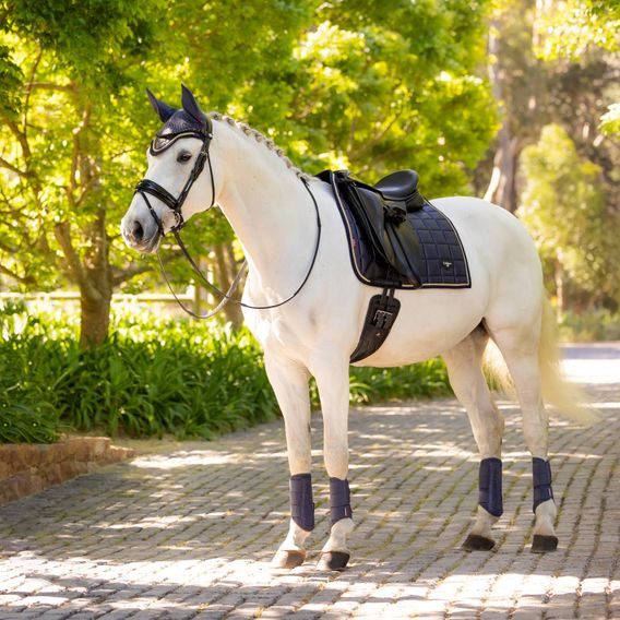 Podsedlová dečka LeMieux Loire Satin Dusk Kolekce 2025