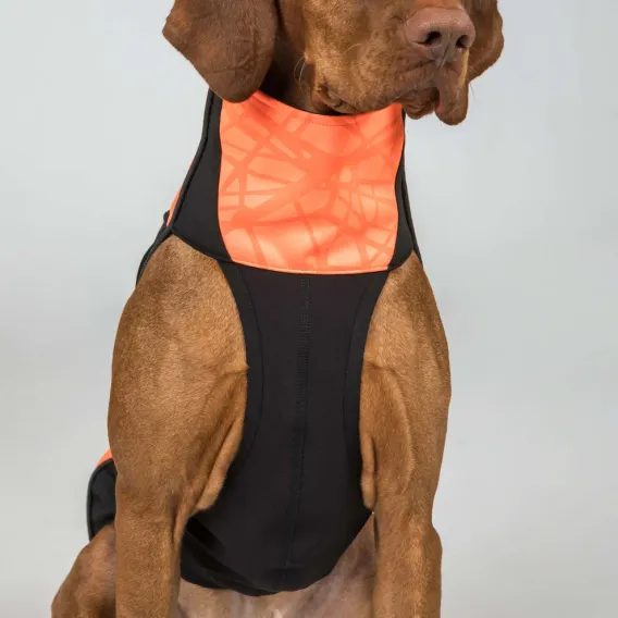 Deka na psa Back On Track BARK Visibility Suit