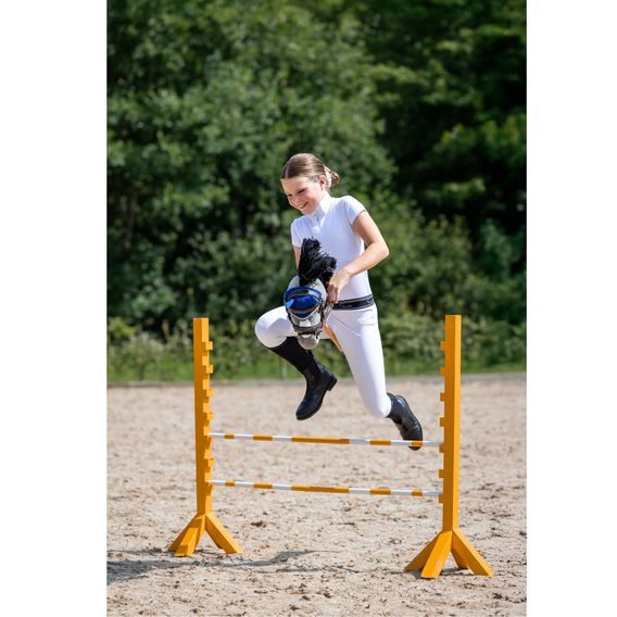 Hobby Horse QHP