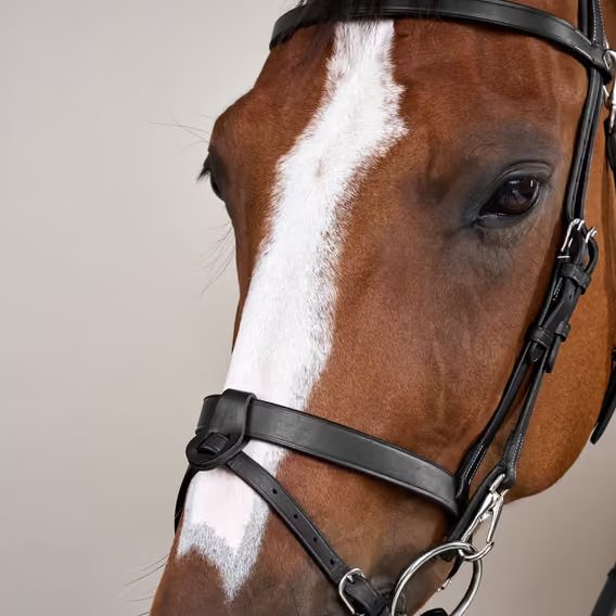Uzdečka Dy'on Flat Leather Bridle With Snap Hooks WOJOGJ