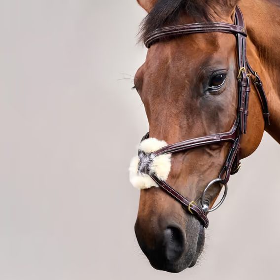Uzdečka Dy'on Figure 8 Noseband Bridle DYAAAC