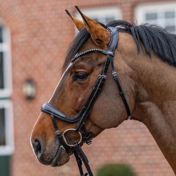 Uzdečka Passier Move anatomická by Julia Krajewski