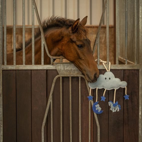 Hračka pro koně QHP Novy