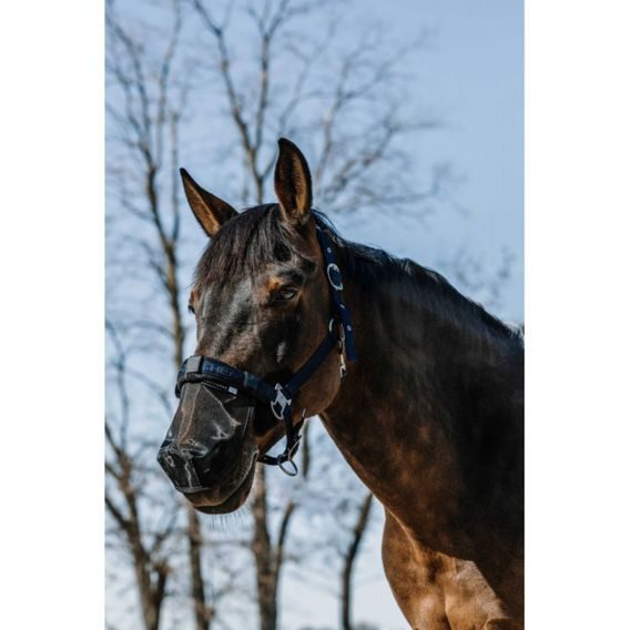 Síťka na nozdry EquiTheme Anti UV