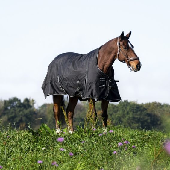 Deka termo výběhová Riding World Oxford 200g