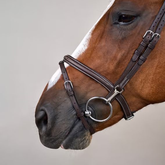 Uzdečka Dy'on Flash Noseband Bridle with Snap Cheekpieces WOAPGB