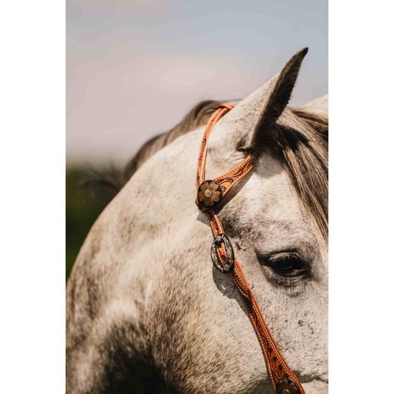 *W* Uzdečka přes jedno ucho a poprsník Cassini Annie