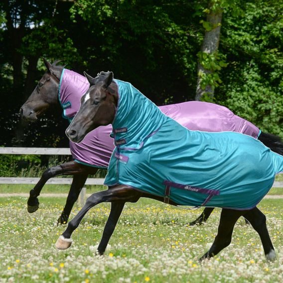 Deka síťovaná Bucas Freedom Fly sheet Kolekce 2023