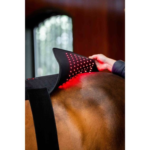 Deka Horseware® LED Red Light Therapy Pad
